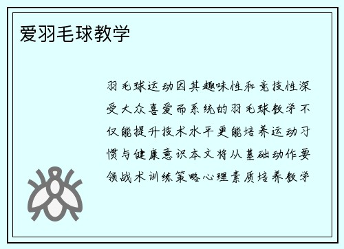 爱羽毛球教学